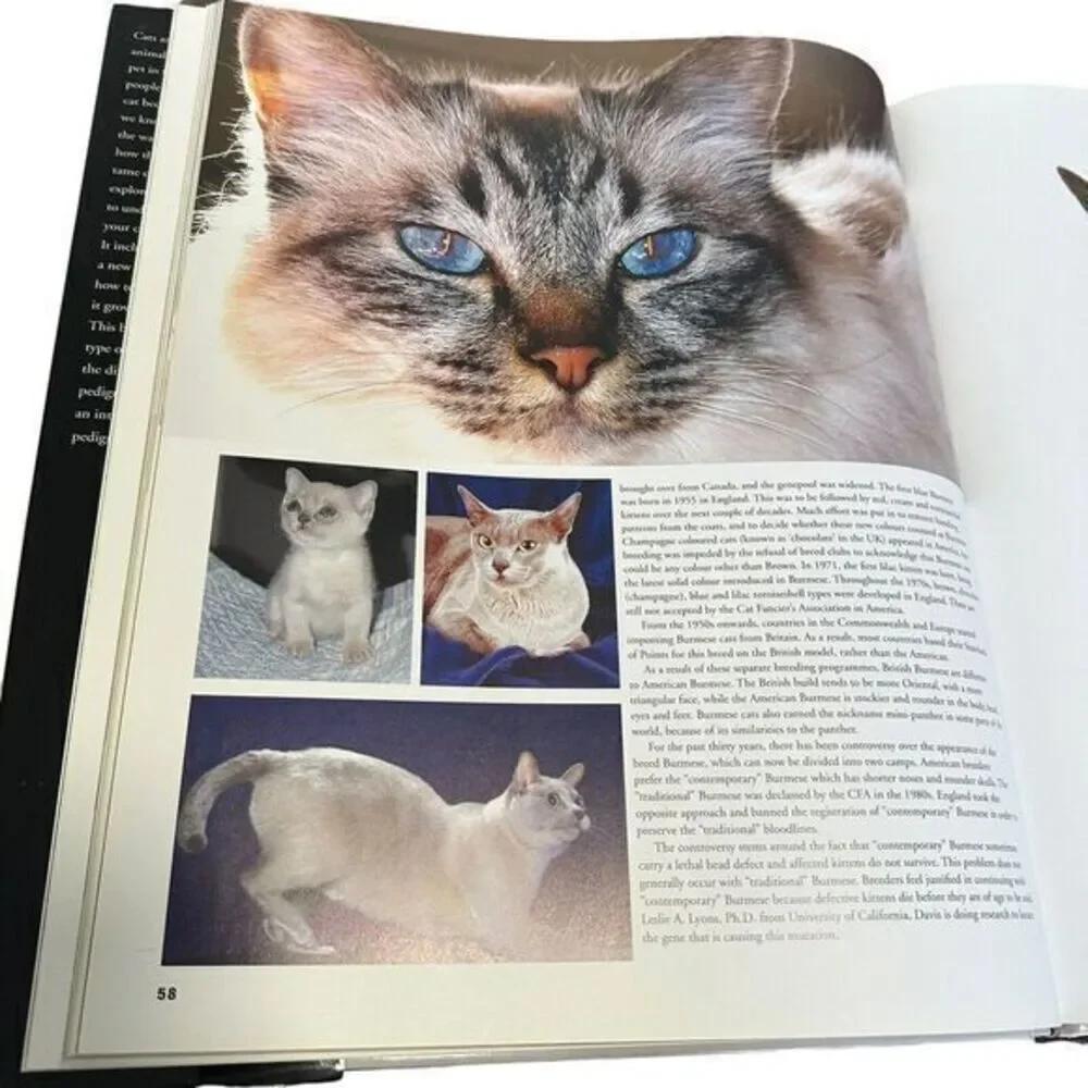 N/A interior book